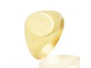 Classic Signet Ring Yellow Gold