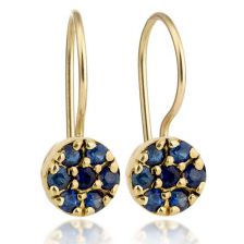 Beautiful Flower Inspired Inlaid Sapphire Earrings 