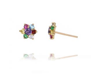 Bright Star Colorful Gold Earrings